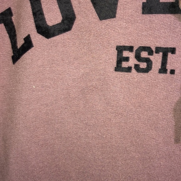 Victoria's Secret Pink Brown Sherpa Logo Everyday Pullover Hoodie size small - Picture 4 of 9